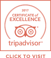 TripAdvisor Certificate of Excellence